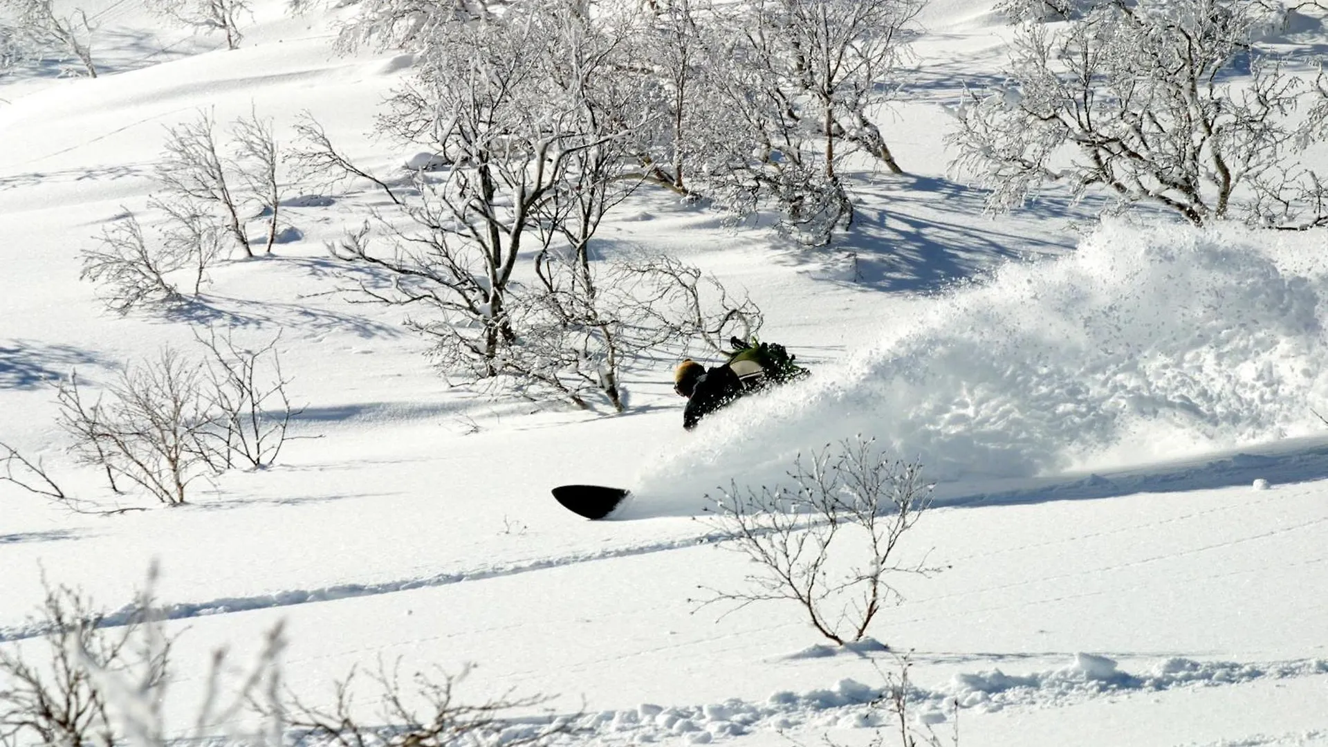 Hotel Kanronomori Niseko 3*,